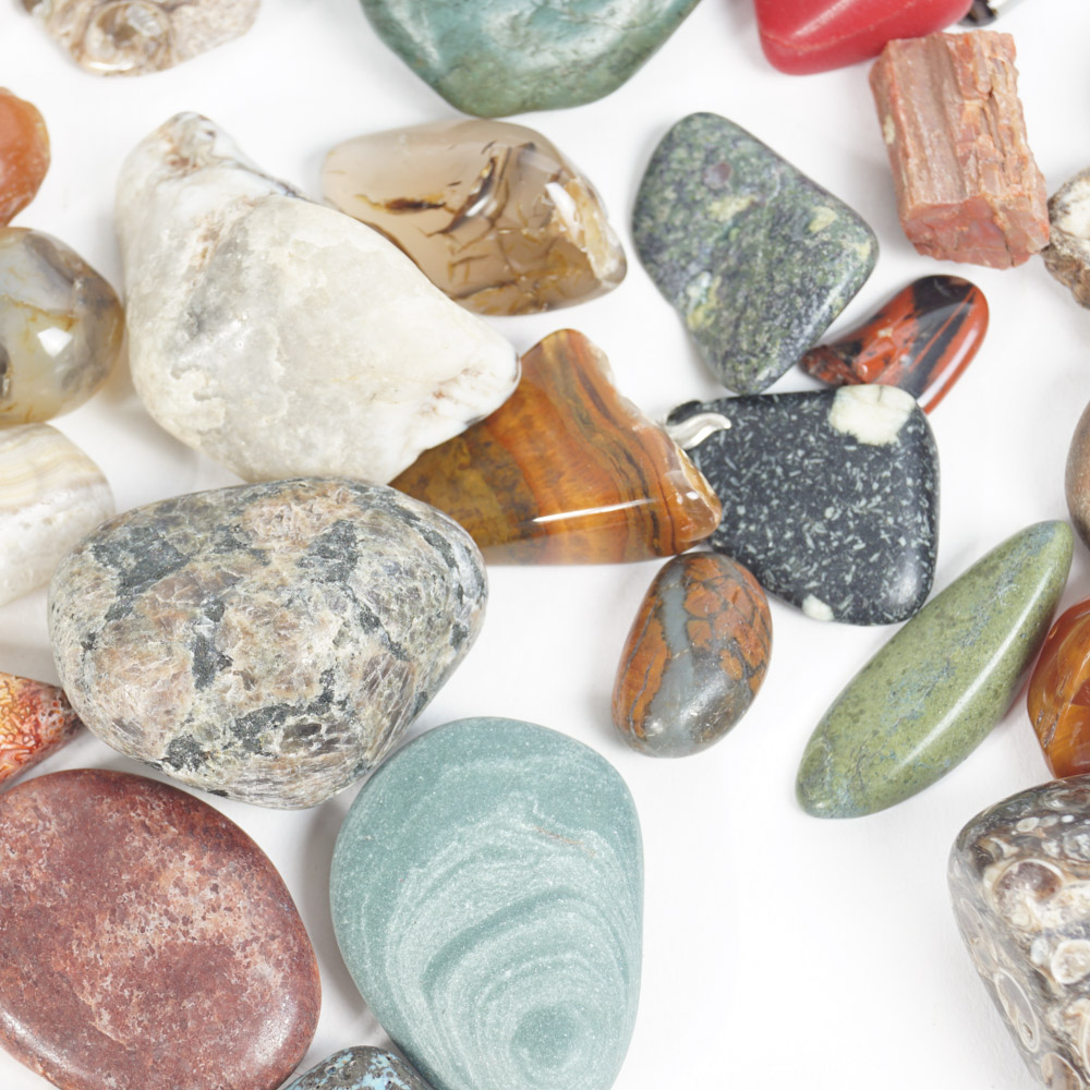 Rock Specimen, Fossil, and Polished Stone Collection