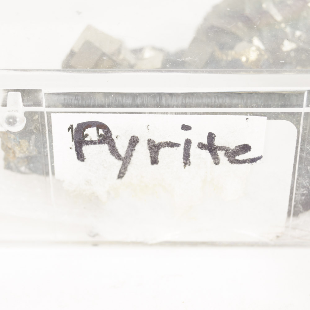 Rock Specimen, Fossil, and Polished Stone Collection