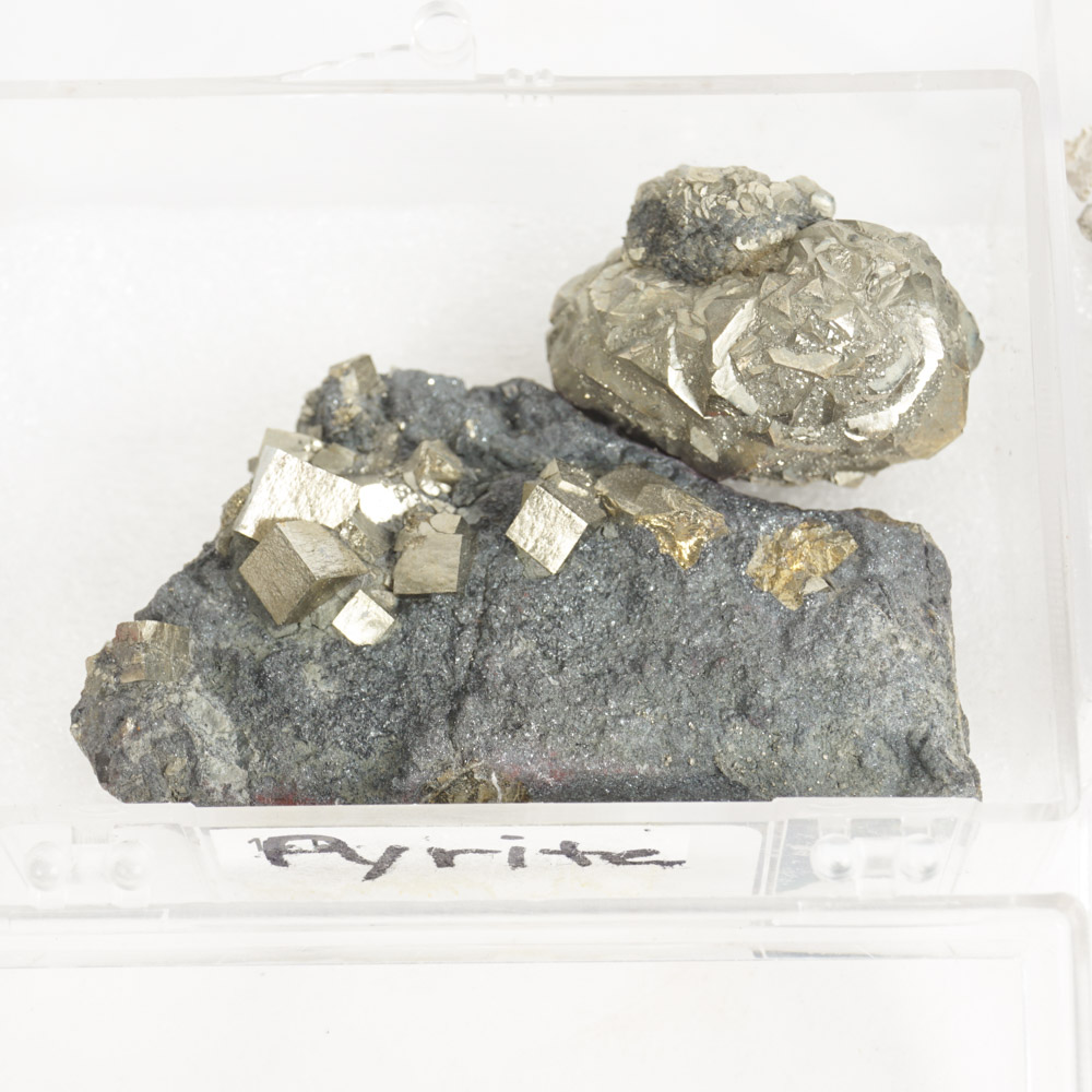 Rock Specimen, Fossil, and Polished Stone Collection