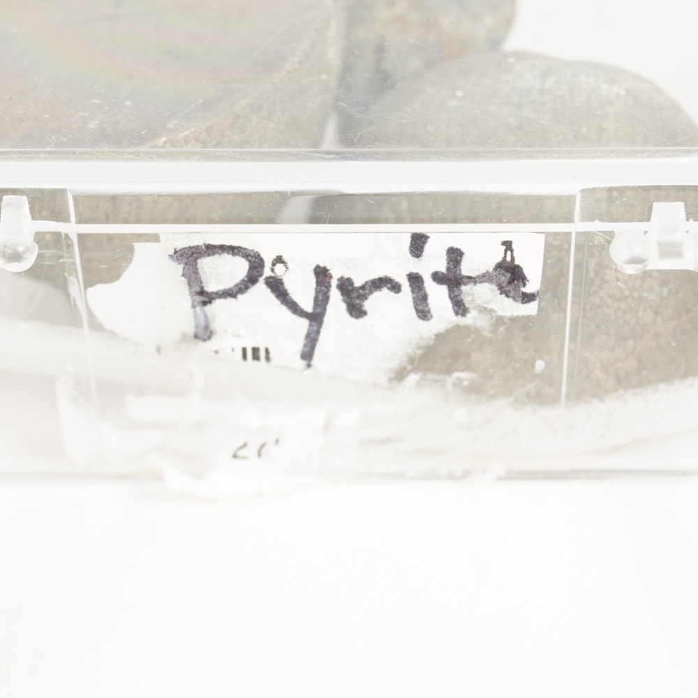 Rock Specimen, Fossil, and Polished Stone Collection