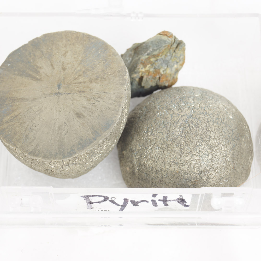 Rock Specimen, Fossil, and Polished Stone Collection