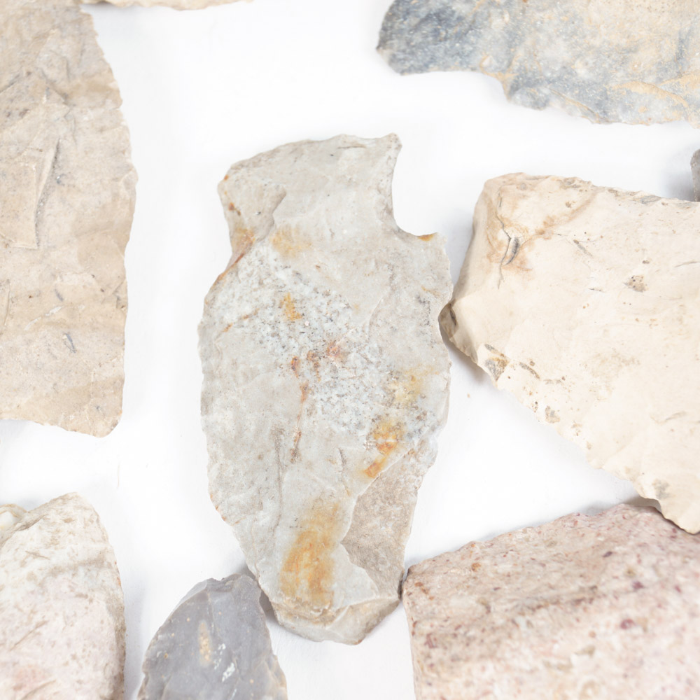 Rock Specimen, Fossil, and Polished Stone Collection