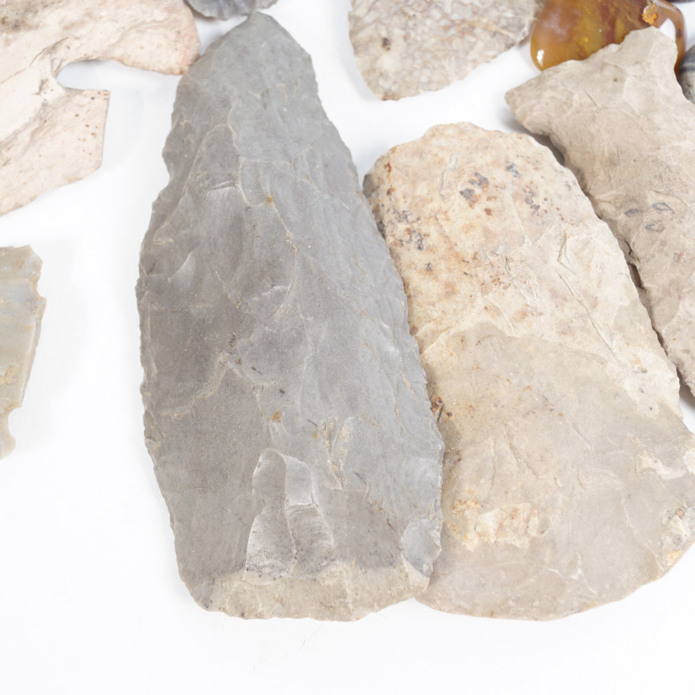 Rock Specimen, Fossil, and Polished Stone Collection