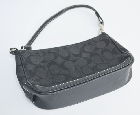 Coach Signature Demi Pouch Baguette Handbag