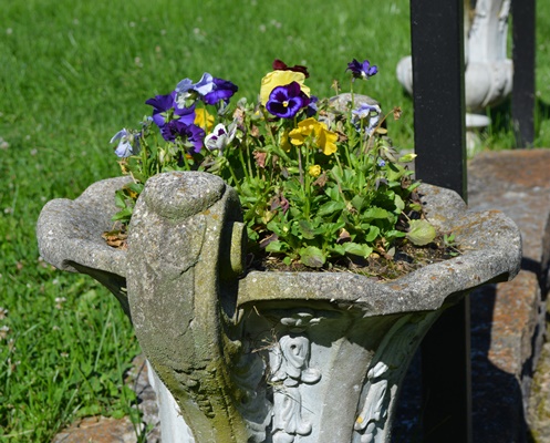 Two Concrete Urn-Shaped Planters