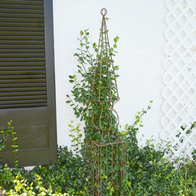 Two Tall Metal Garden Topiary Forms