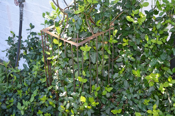 Two Tall Metal Garden Topiary Forms