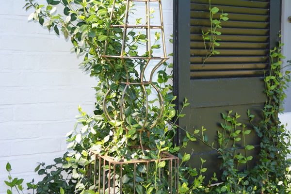 Two Tall Metal Garden Topiary Forms