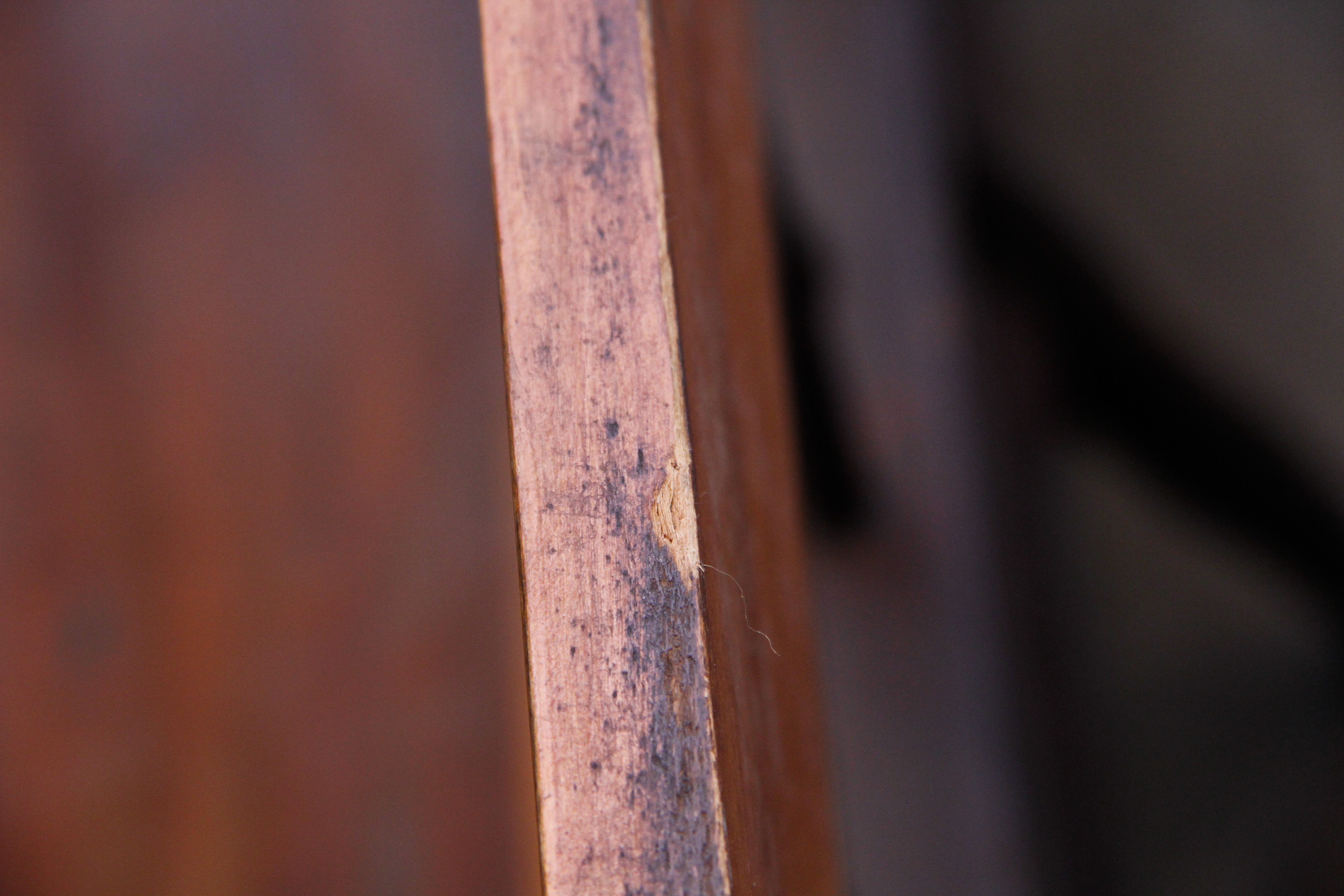 Country Sheraton Style Deacon's Bench