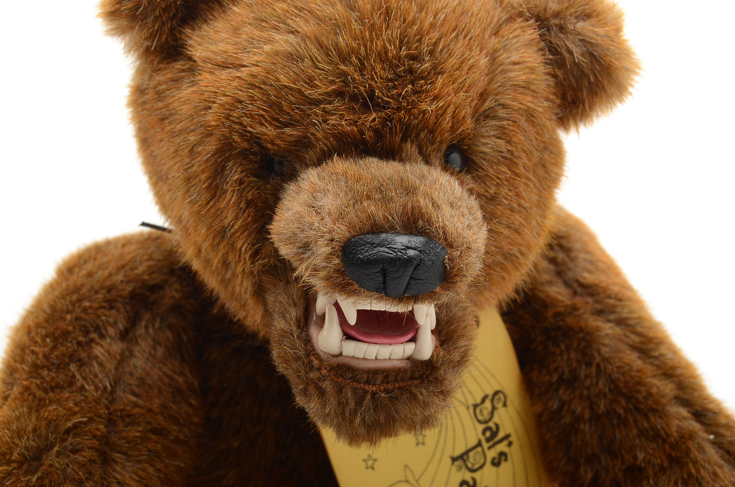 Collection of Teddy Bears