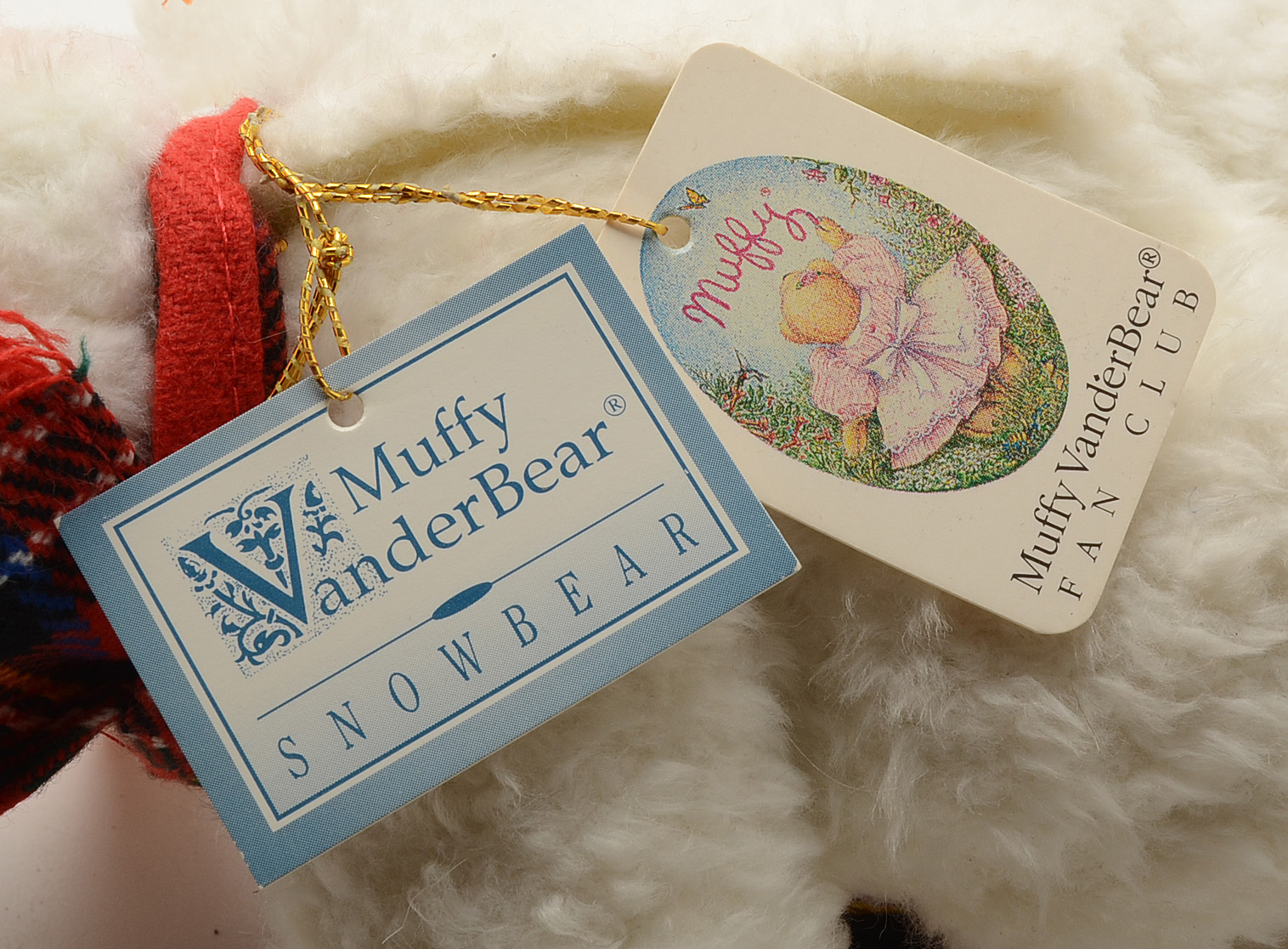 Collection of Teddy Bears