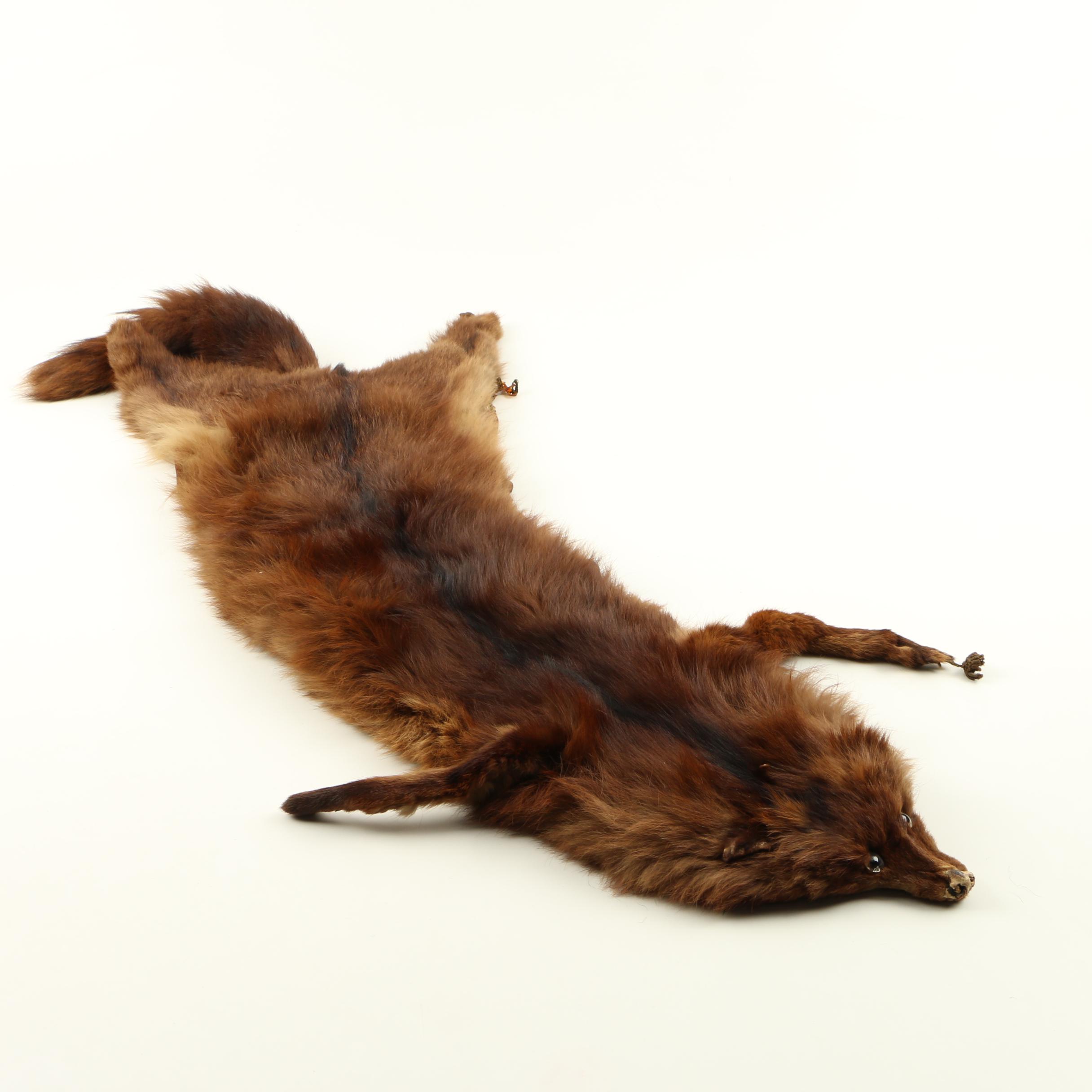 Coyote Collar and Full Fox Stole