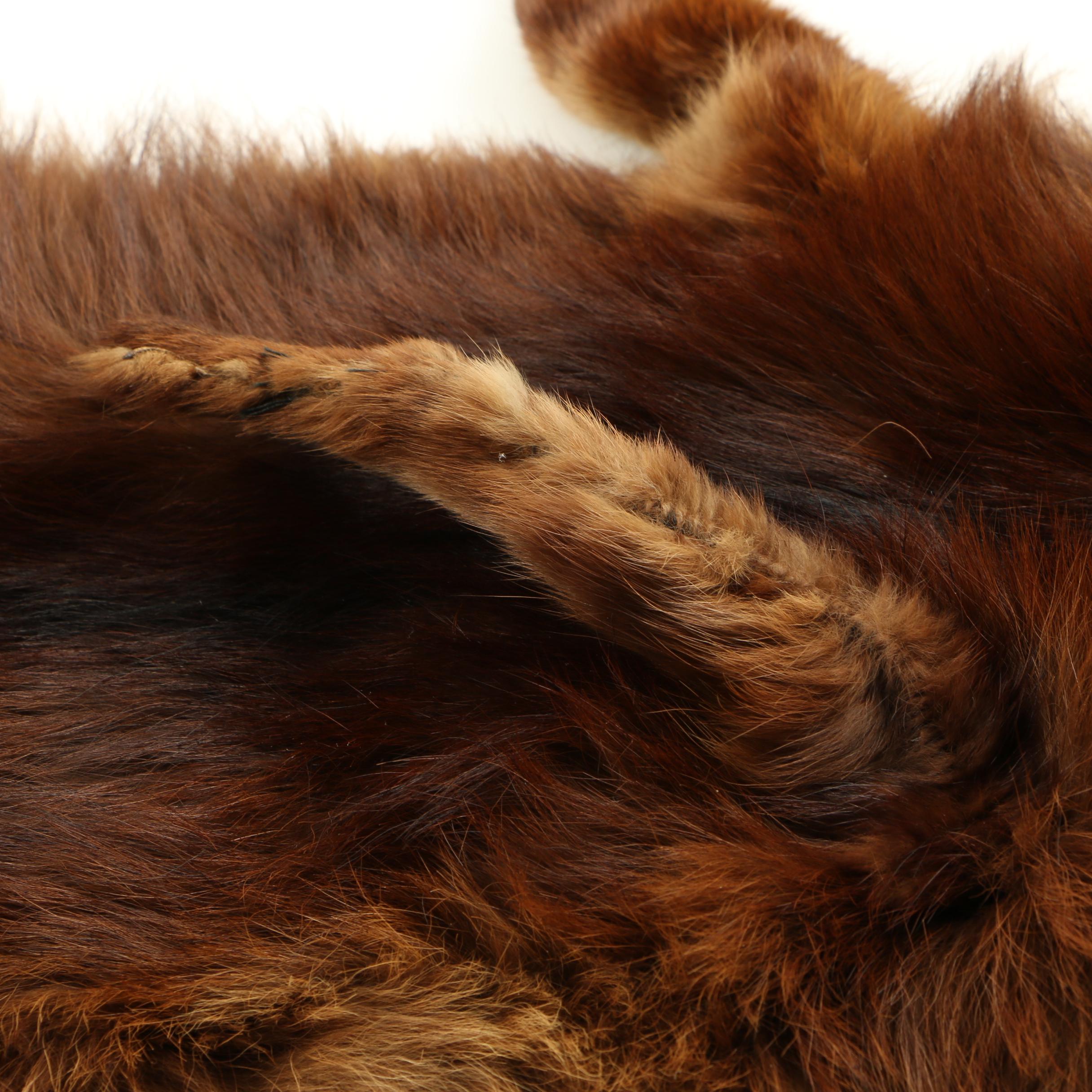 Coyote Collar and Full Fox Stole