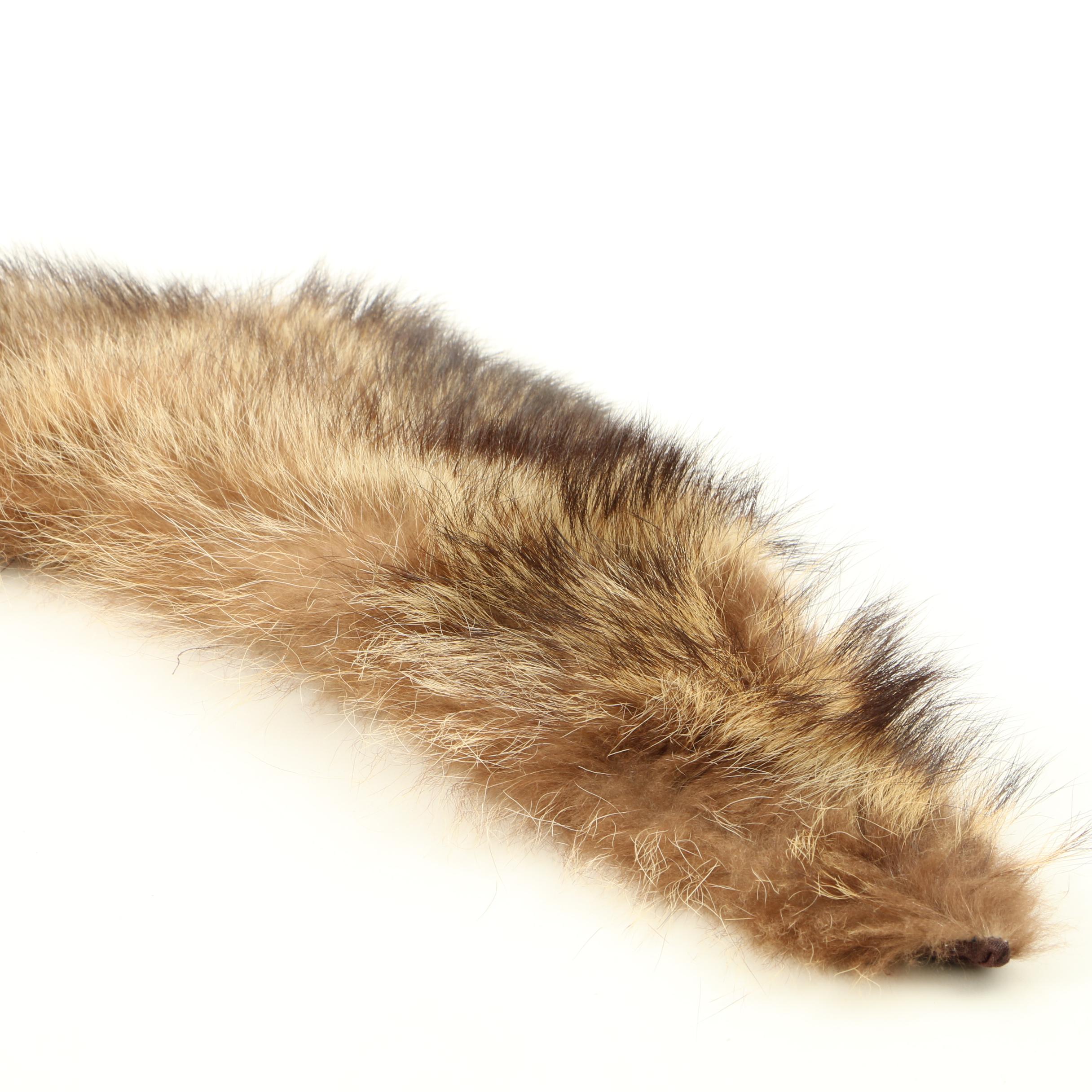 Coyote Collar and Full Fox Stole