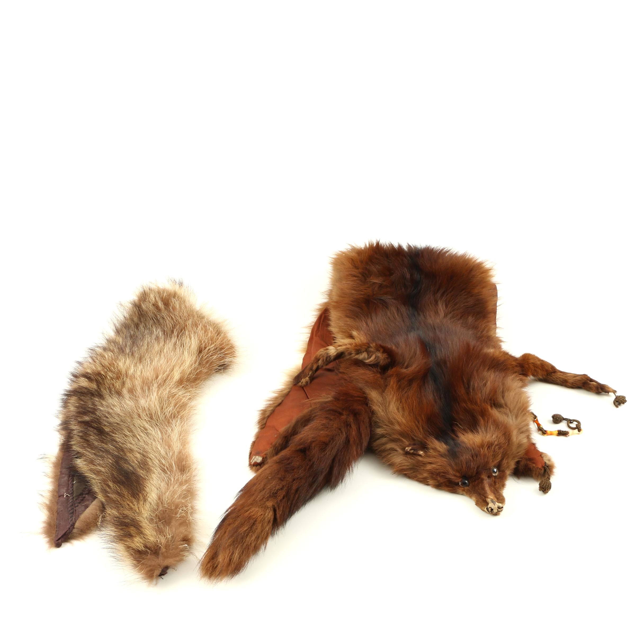 Coyote Collar and Full Fox Stole