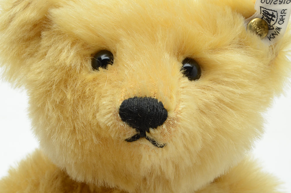 Steiff Birthplace of the Teddy Bear Set