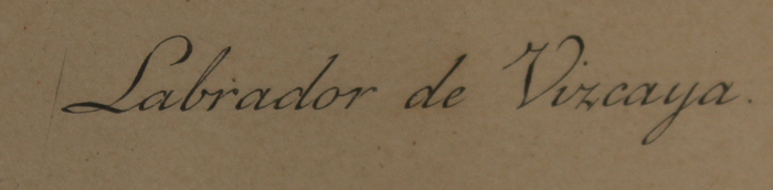 Pair of Hand-Colored Engravings