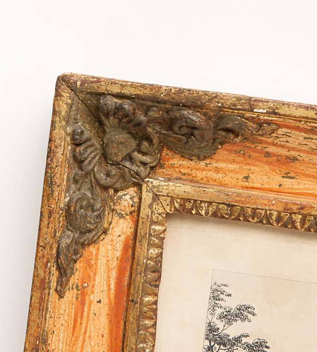 W.B. Cooke Engraving After Work by I. Gibbs "Centra"