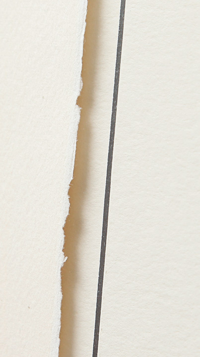 Ben Shahn Limited Edition Lithograph "Birds Over The City"