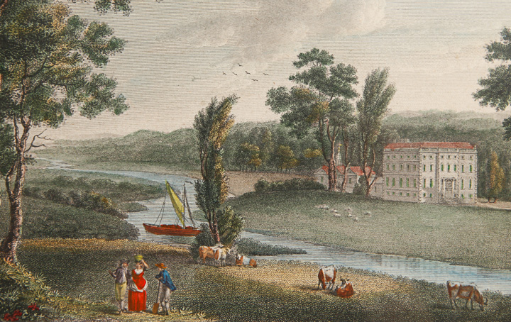 Pair of Hand-Colored Engravings