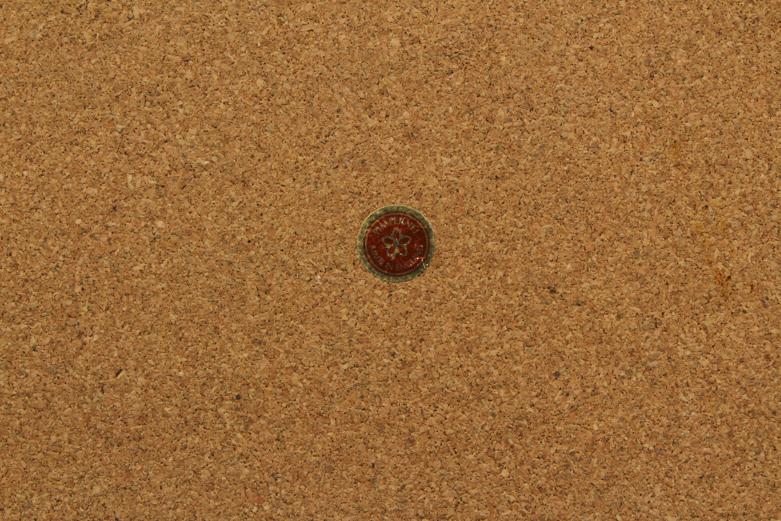 Decorative Cork Board Placemats