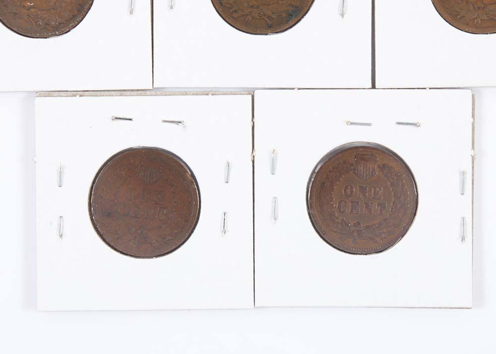 Eight 1901-1908 Indian Head Cents