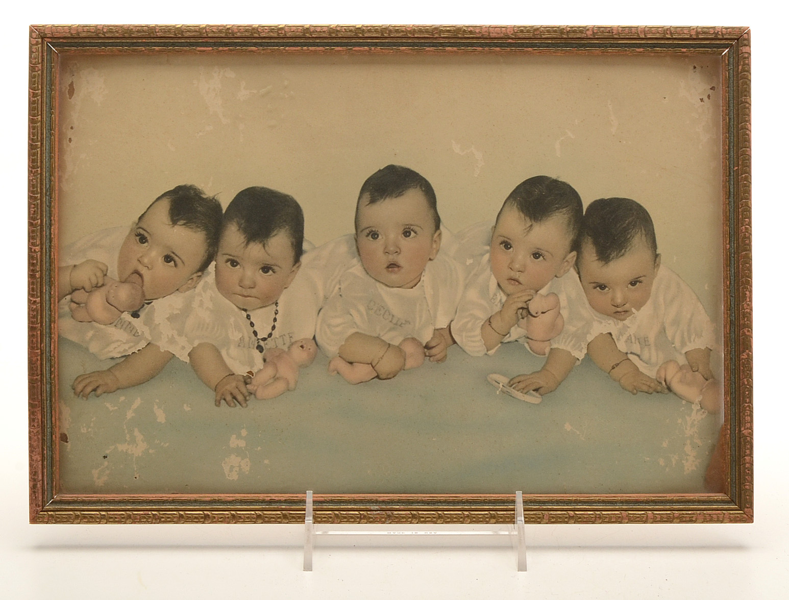 Collection of Composite Madame Alexander Dolls with Photo