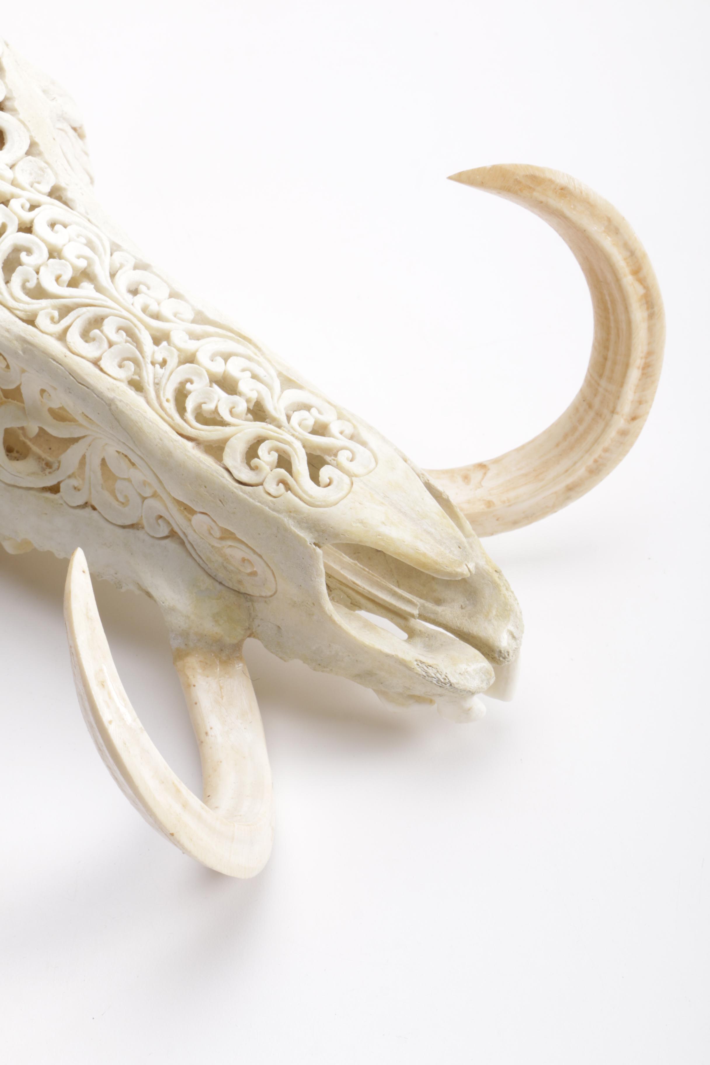 Carved Domestic Pig Skull and Tusks