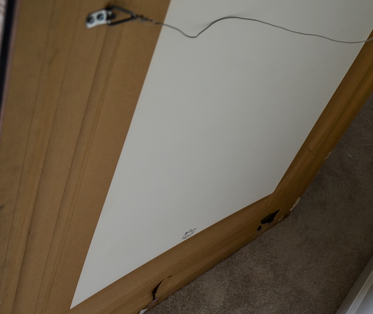 Jim Warren and Robert Wyland Giclee "Mermaid Dreams"