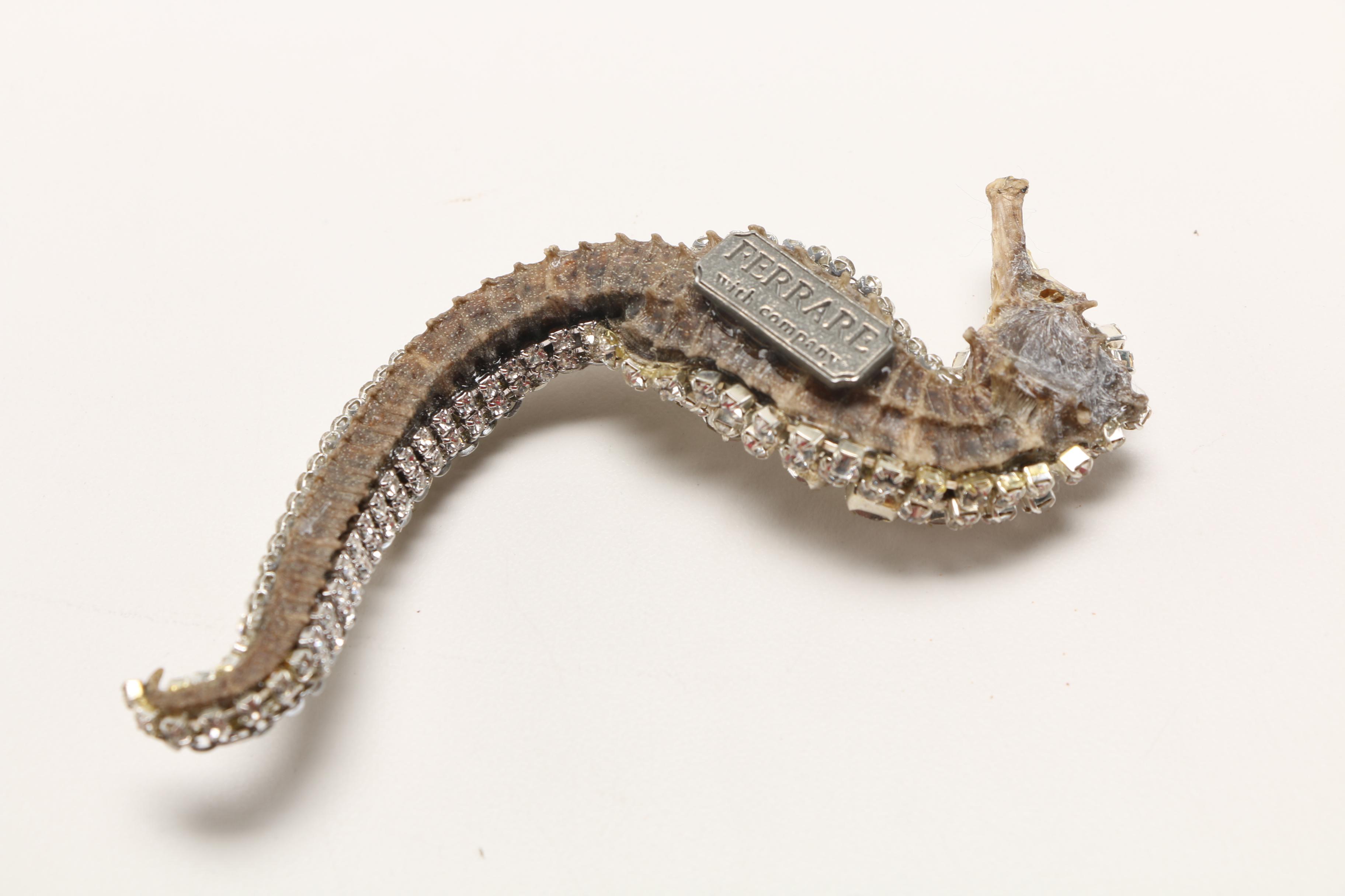 Ferrare With Company Rhinestone Encrusted Shells and Seahorse