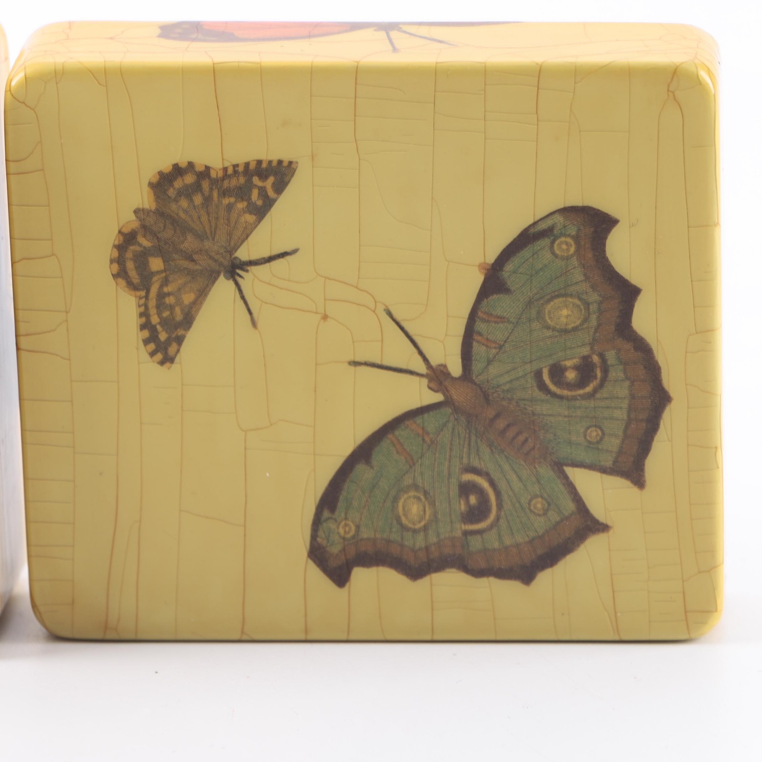 Butterfly Trinket Box