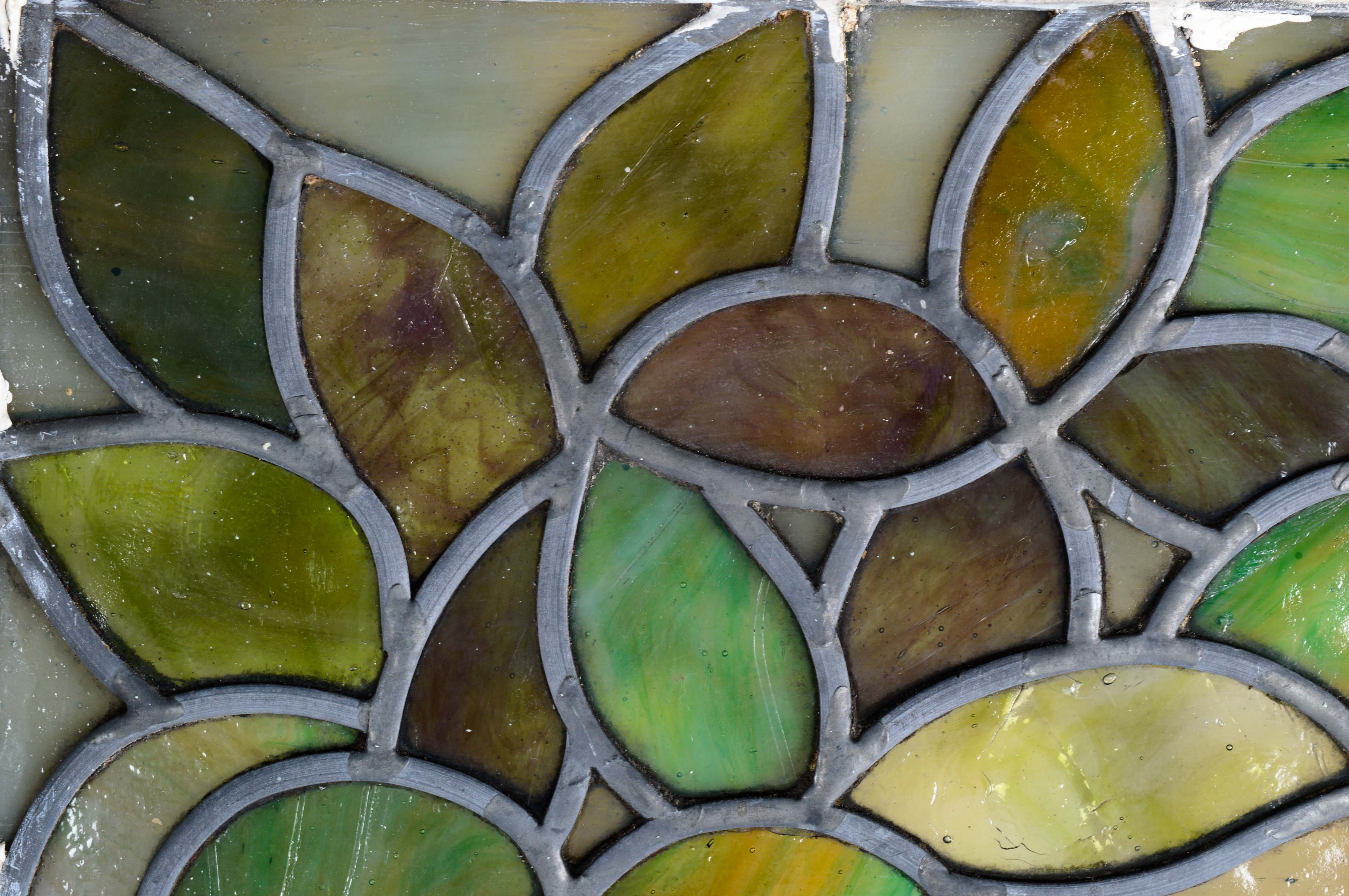 Stained Glass Windows