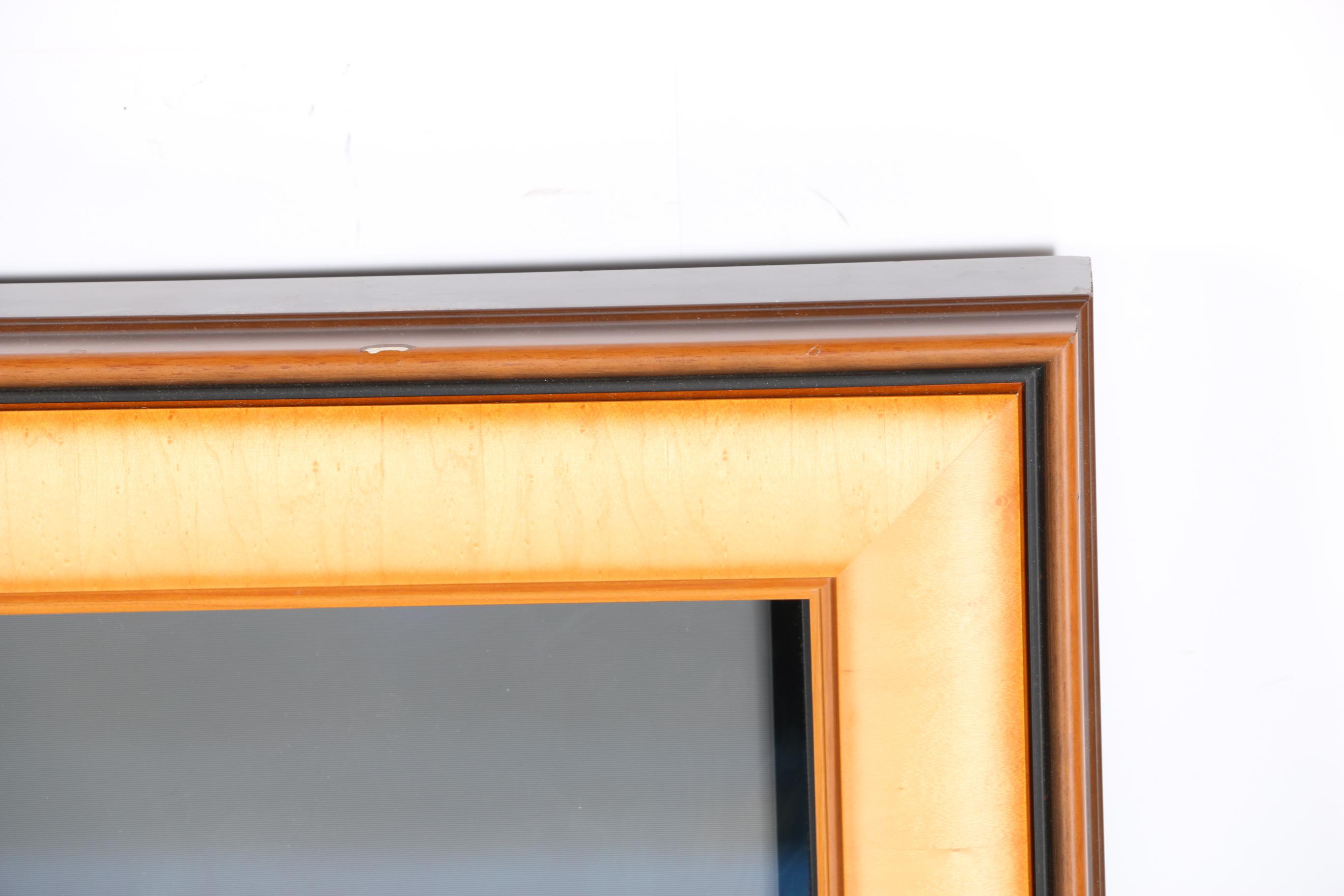 Framed Samsung Plasma Television