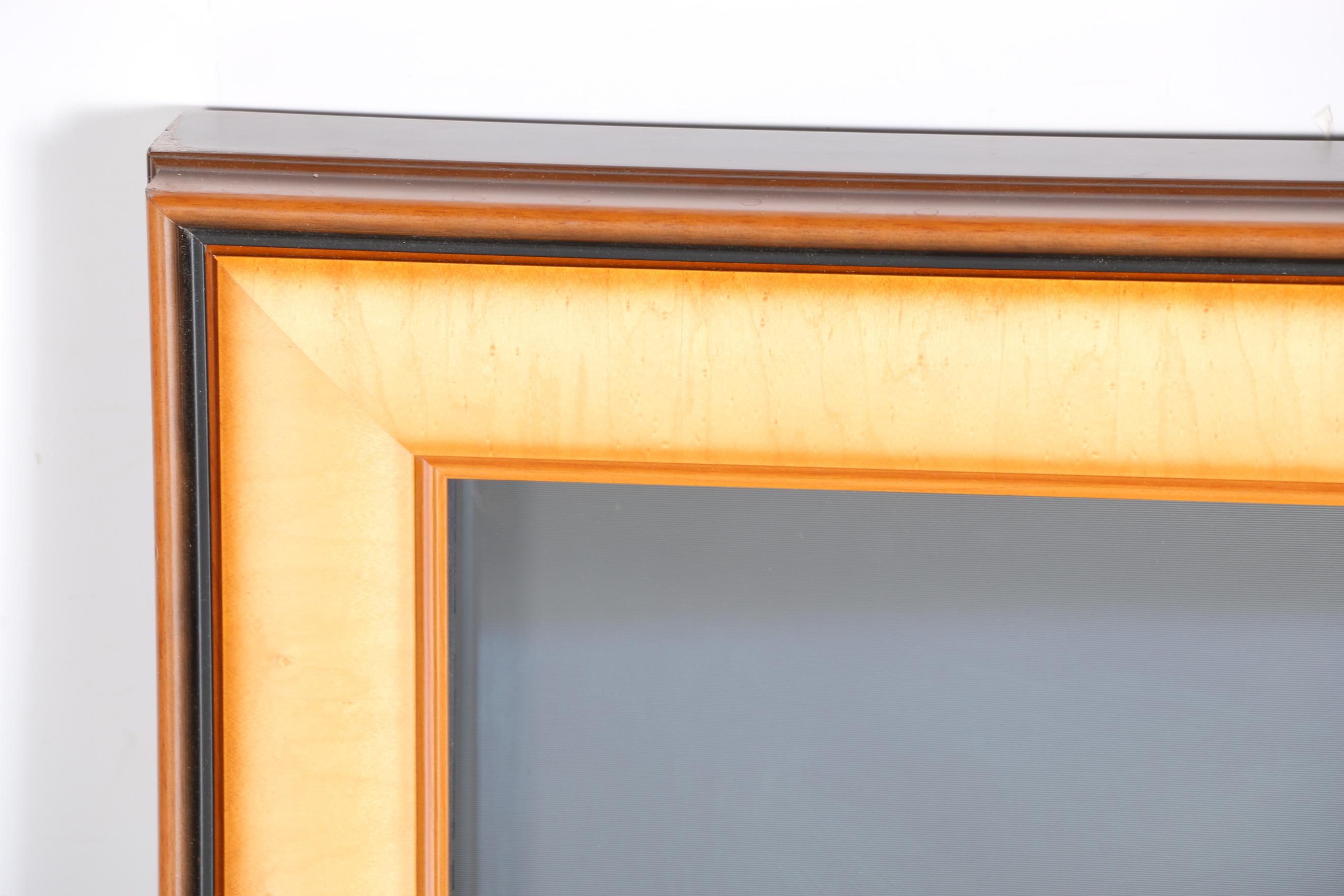 Framed Samsung Plasma Television