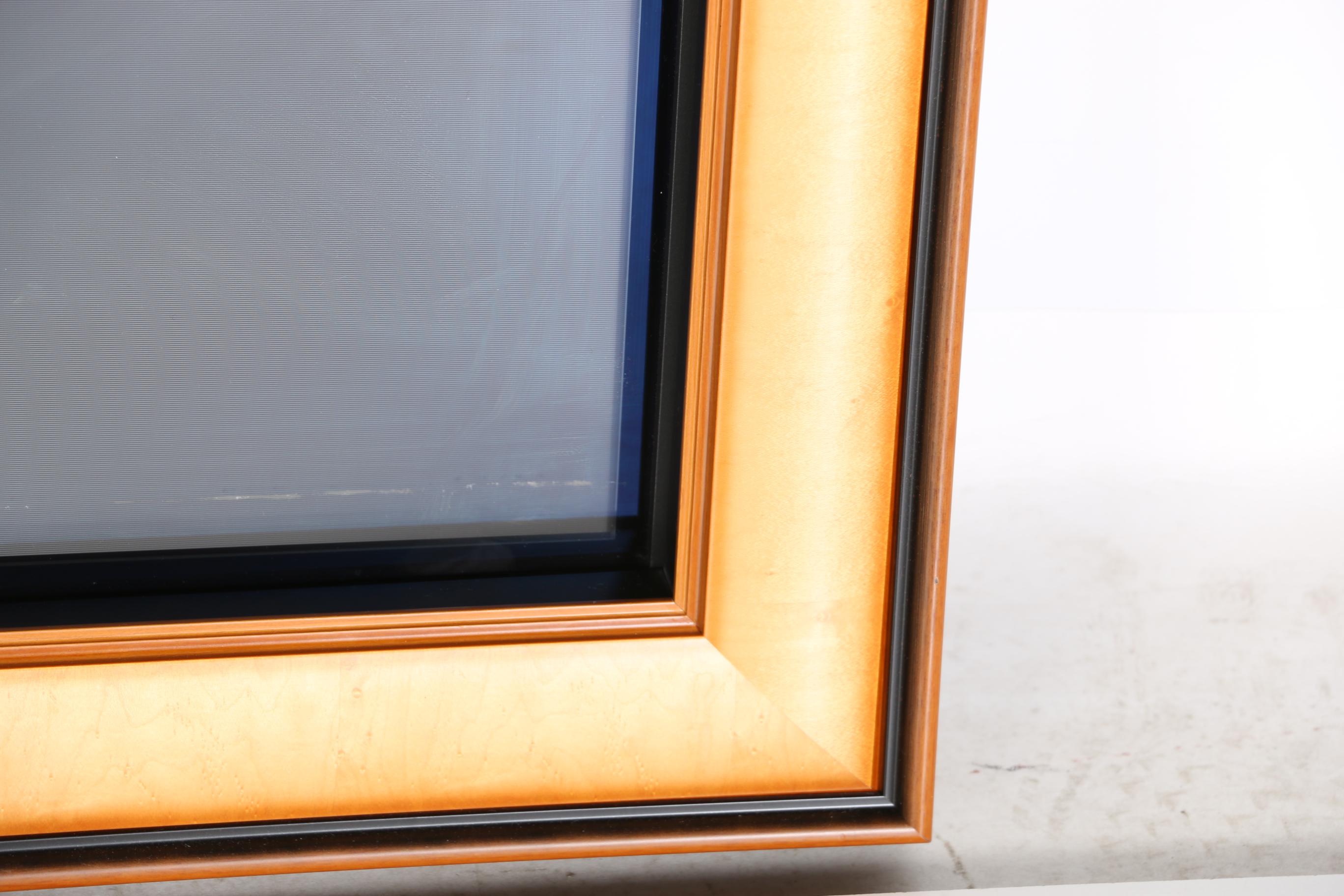 Framed Samsung Plasma Television