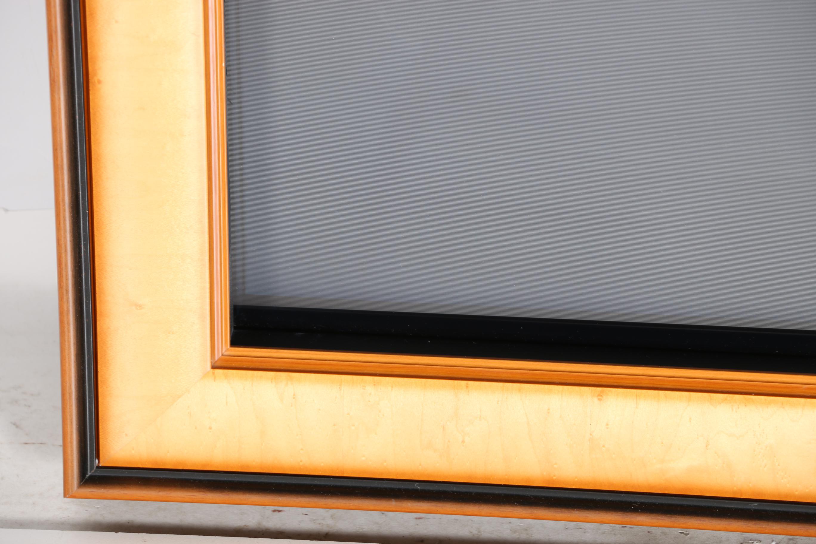 Framed Samsung Plasma Television