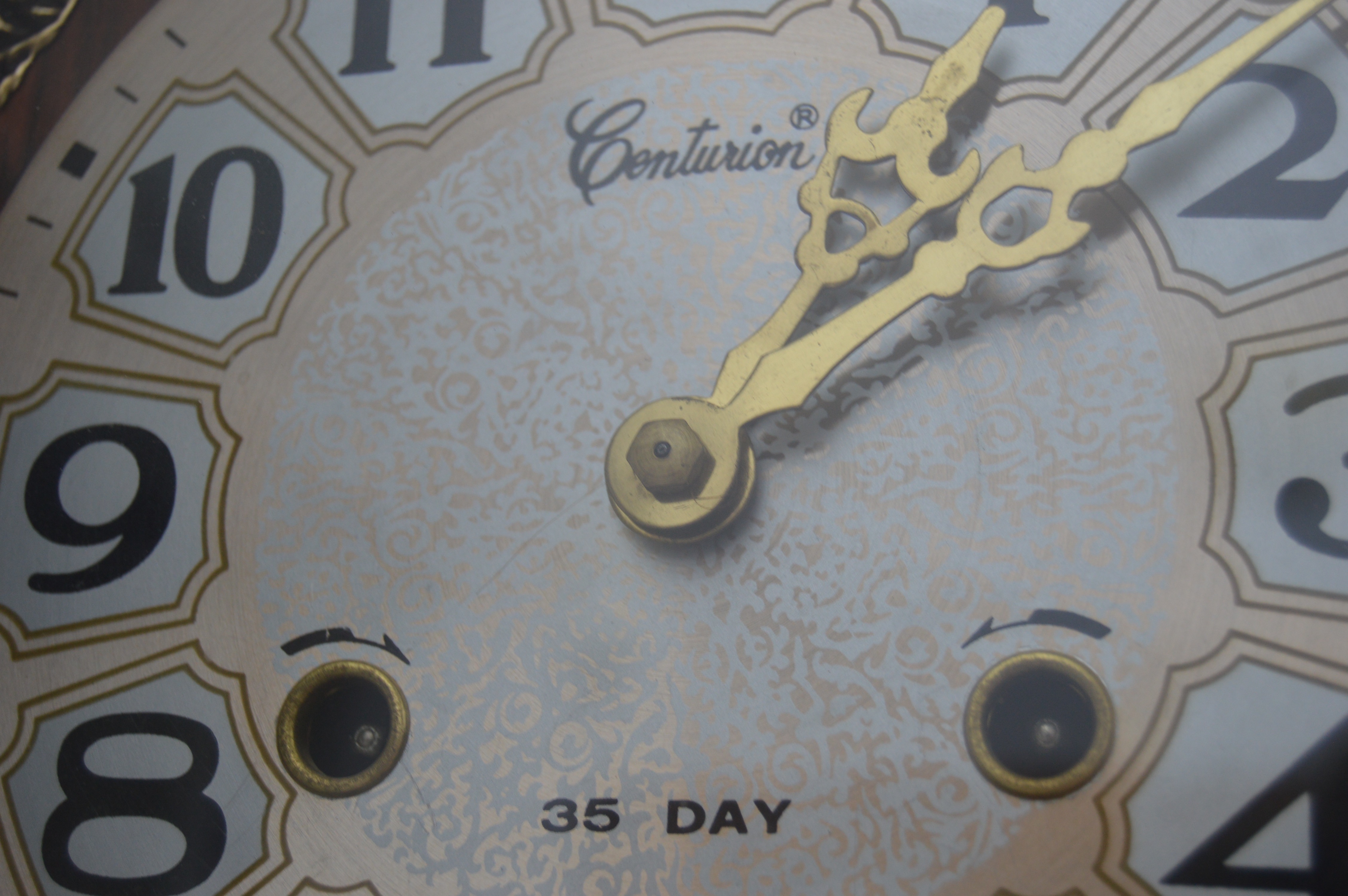 Centurion "35 Day" Grandfather Style Wall Clock Everything But The House