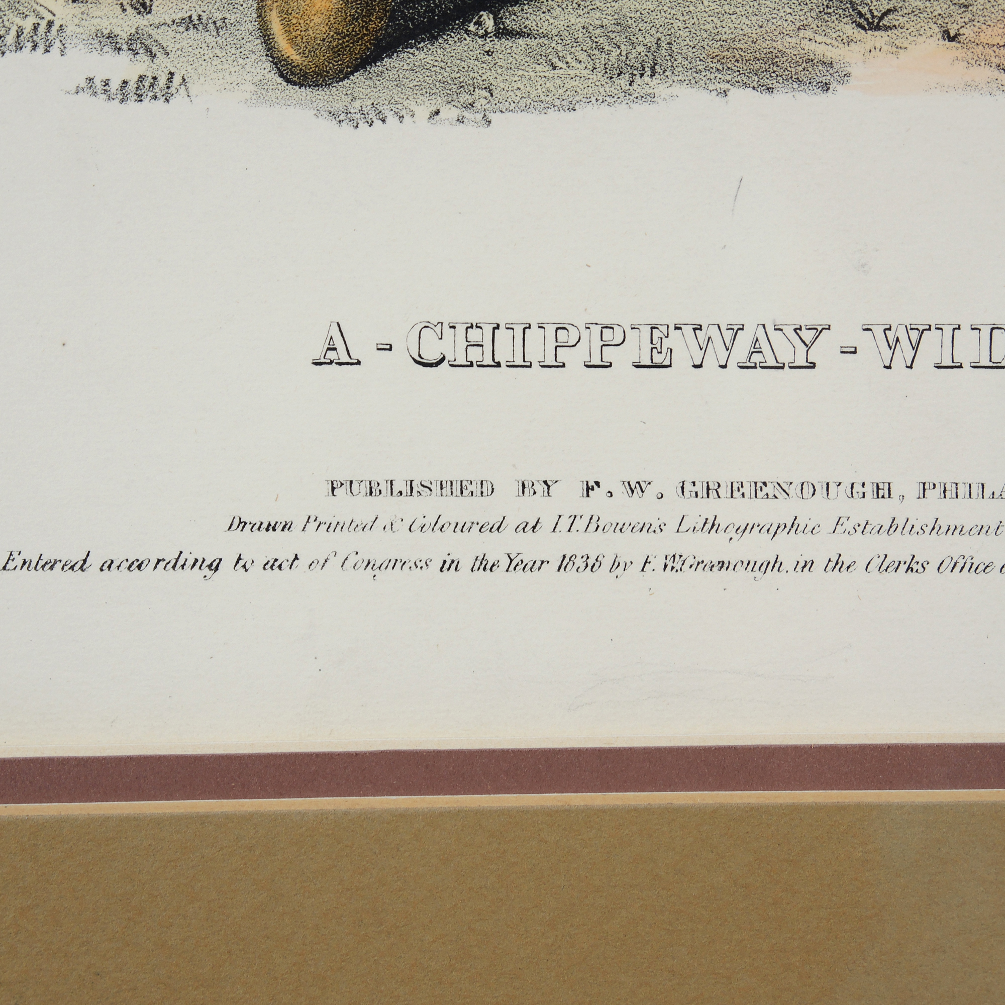 "A Chippeway Widow" McKenney and Hall Lithograph