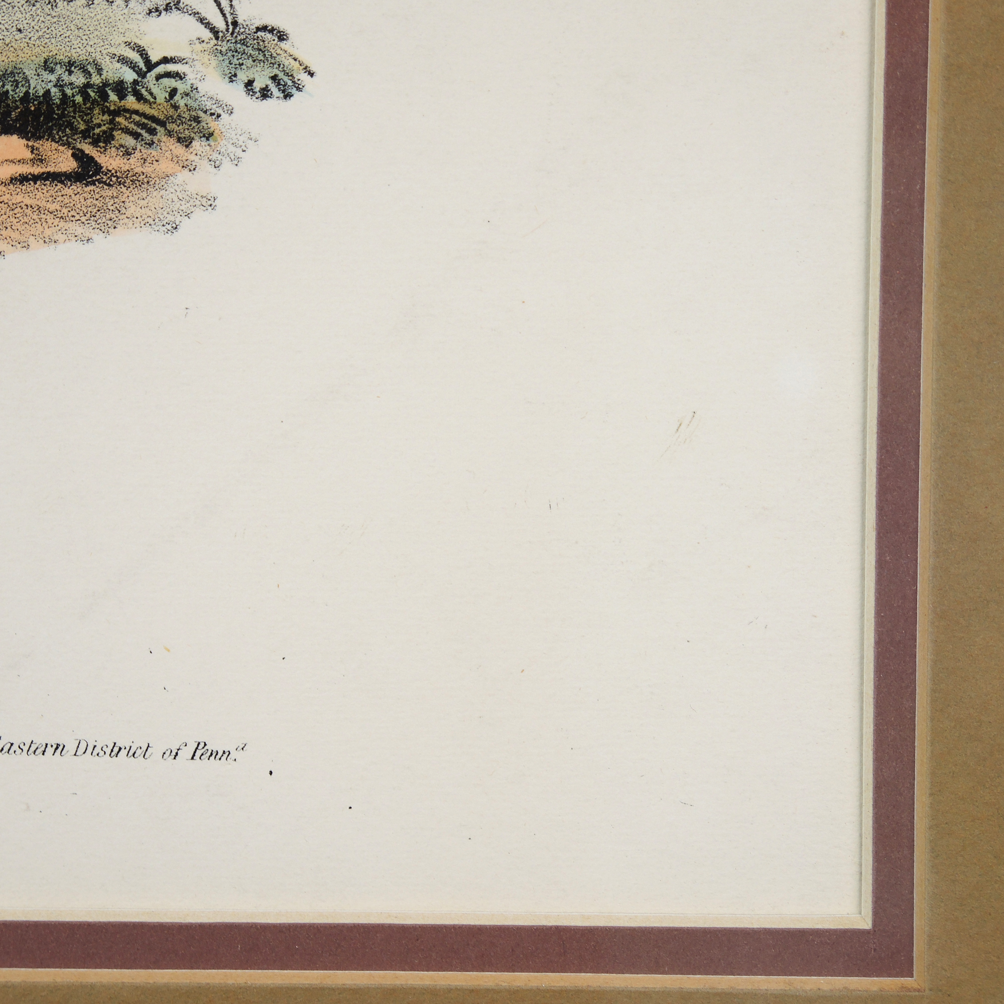 "A Chippeway Widow" McKenney and Hall Lithograph