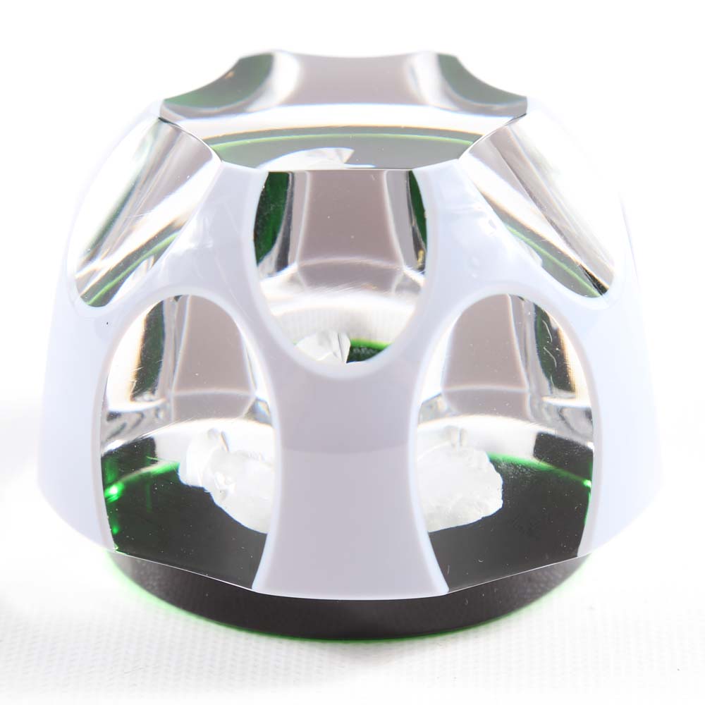 Baccarat "Theodore Roosevelt" Crystal Paperweight