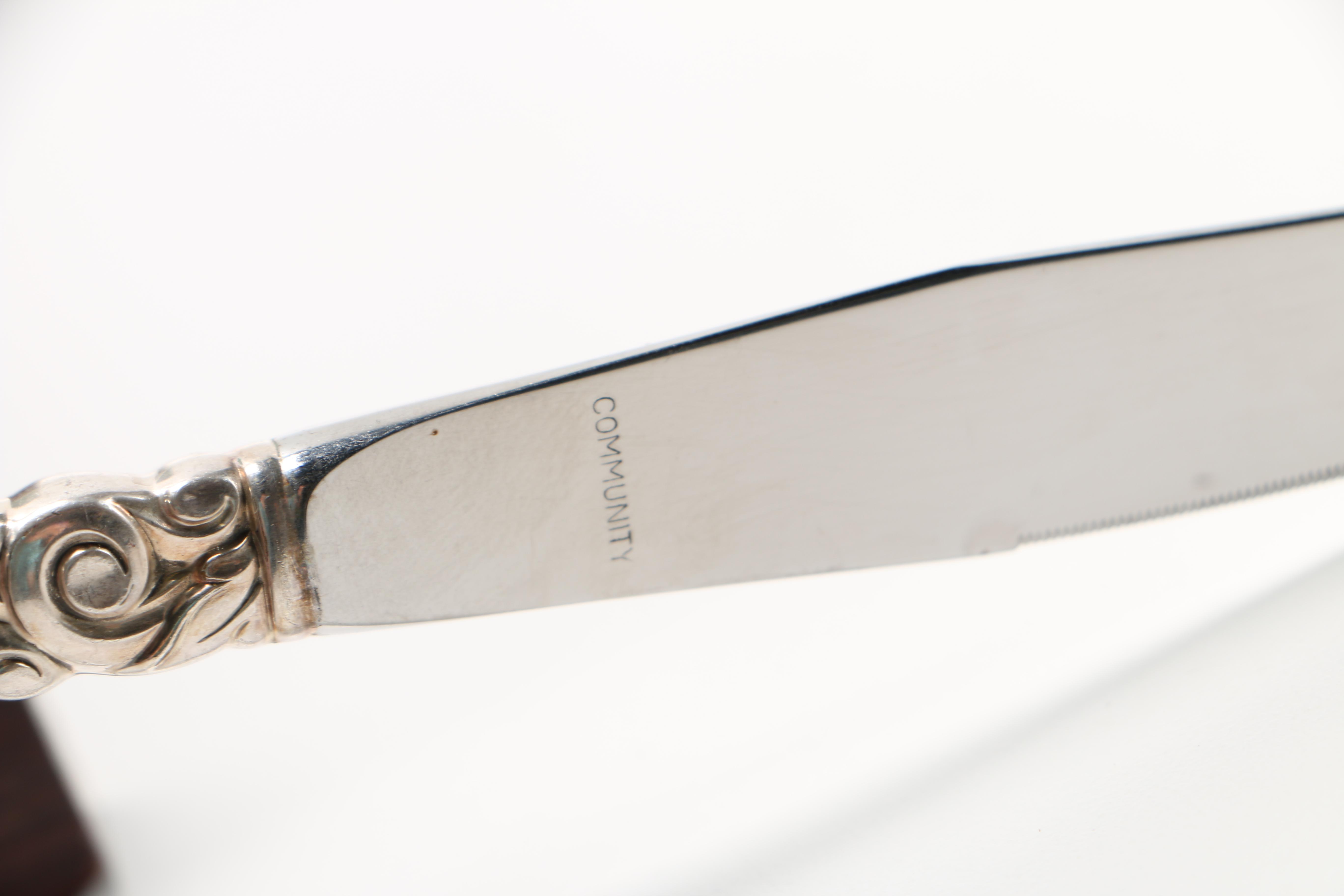 Community "South Seas" Silver Plate Flatware Set in a Presentation Case