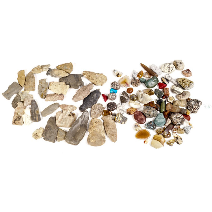 Rock Specimen, Fossil, and Polished Stone Collection