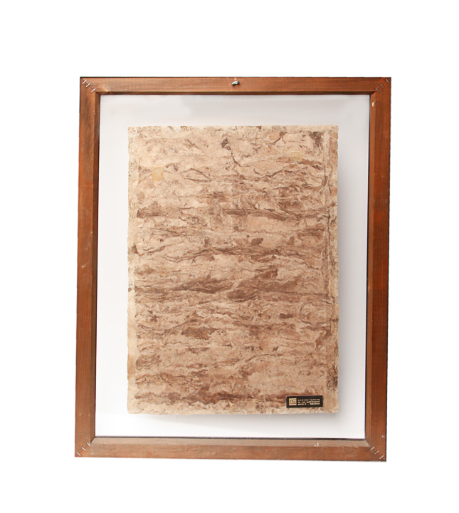 Painting of Birds on Pressed Paper