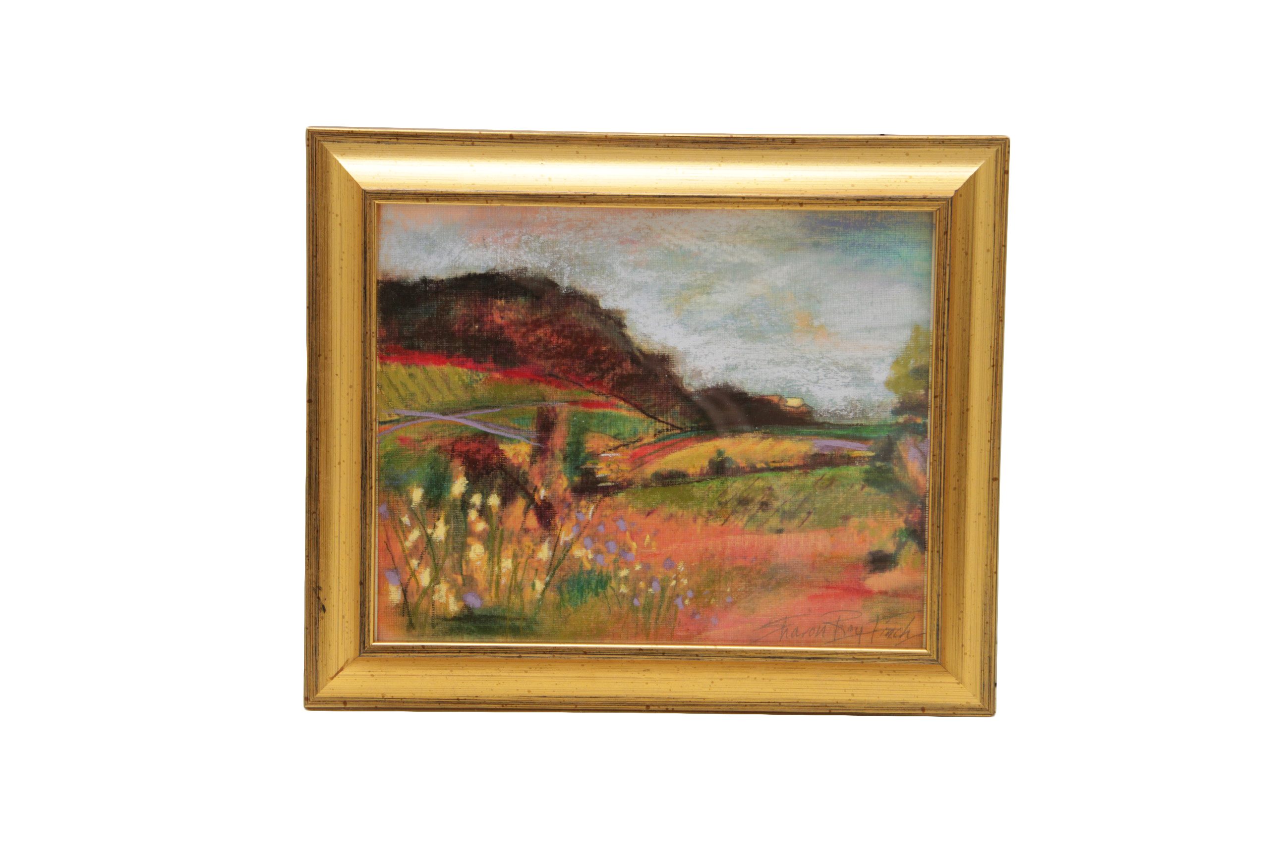 Sharon Roy Finch Pastel Drawings of Landscapes