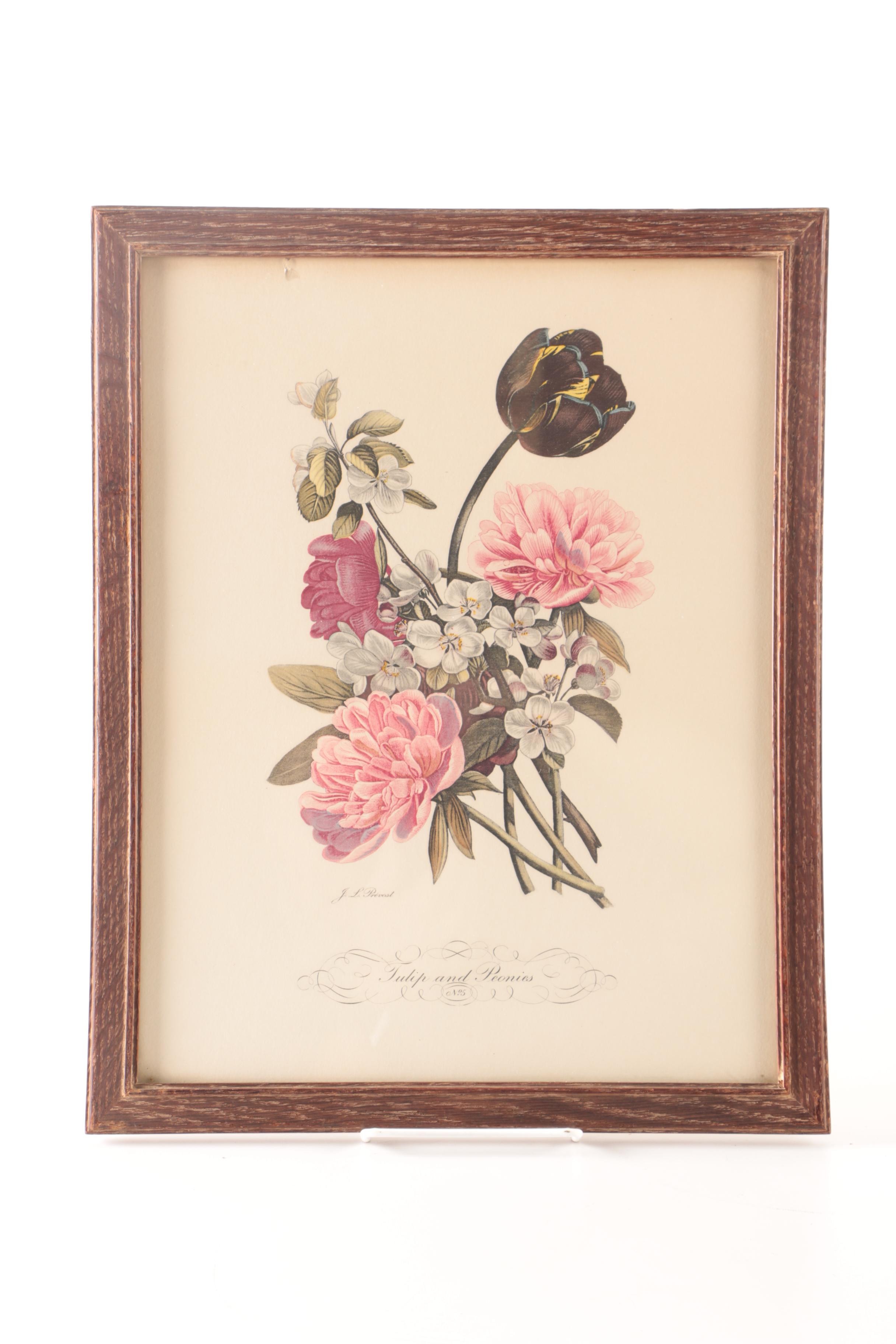 Hand Colored Halftone Prints After Jean Louis Prévost's Botanical Illustrations