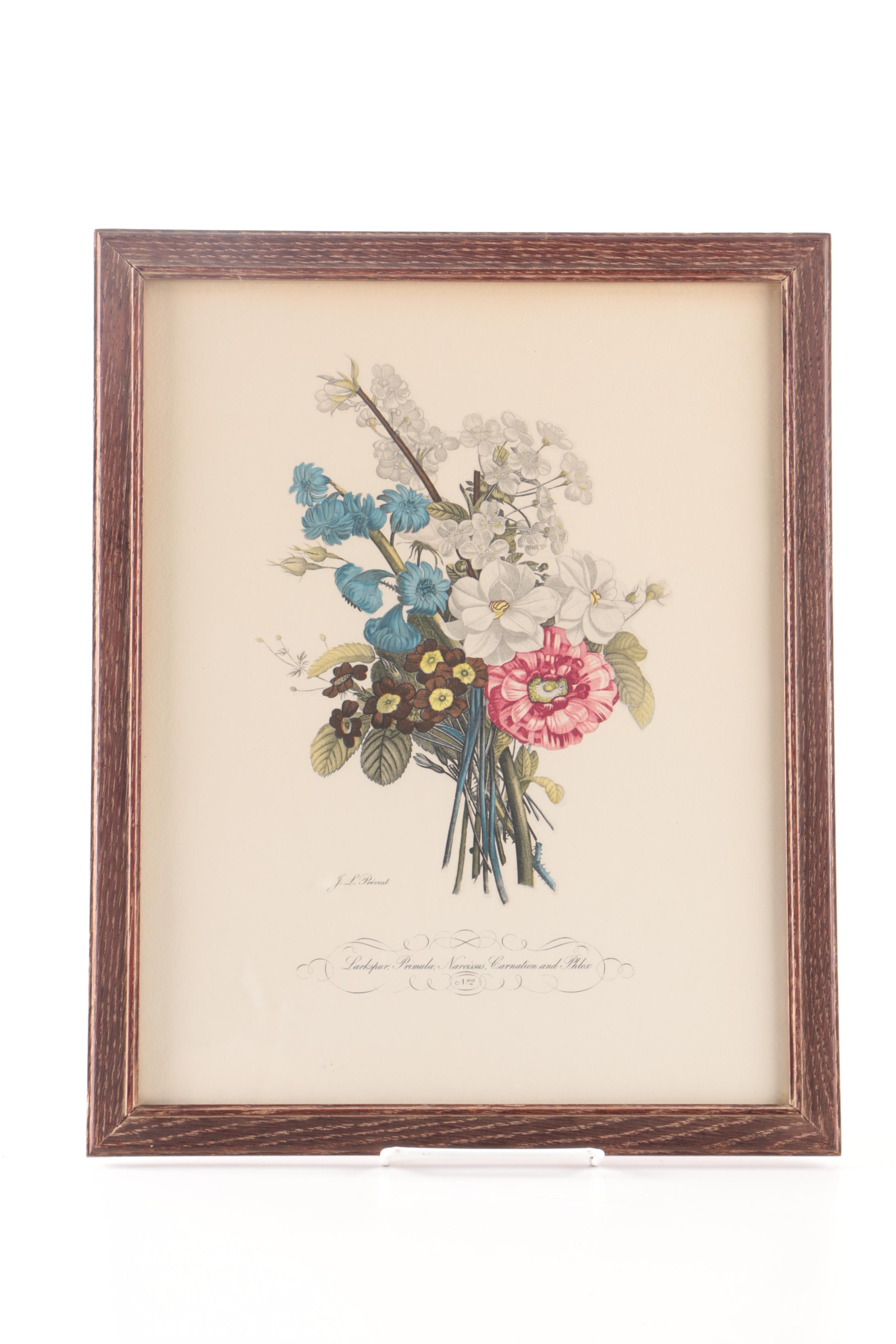 Hand Colored Halftone Prints After Jean Louis Prévost's Botanical Illustrations