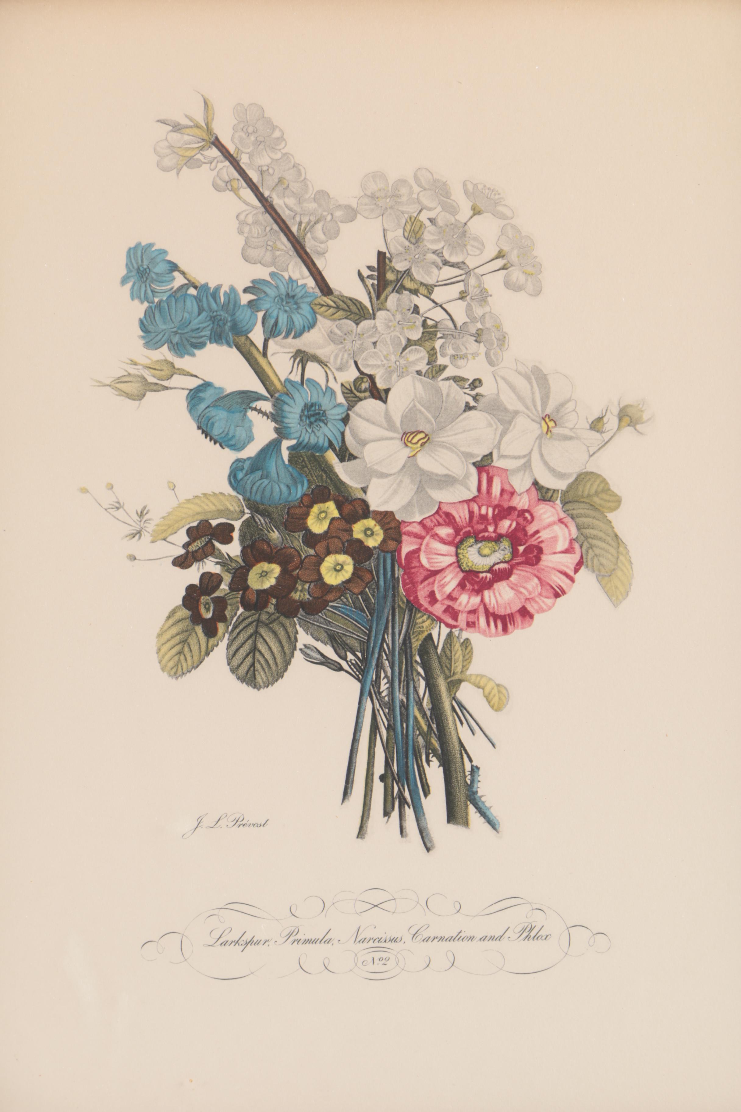 Hand Colored Halftone Prints After Jean Louis Prévost's Botanical Illustrations