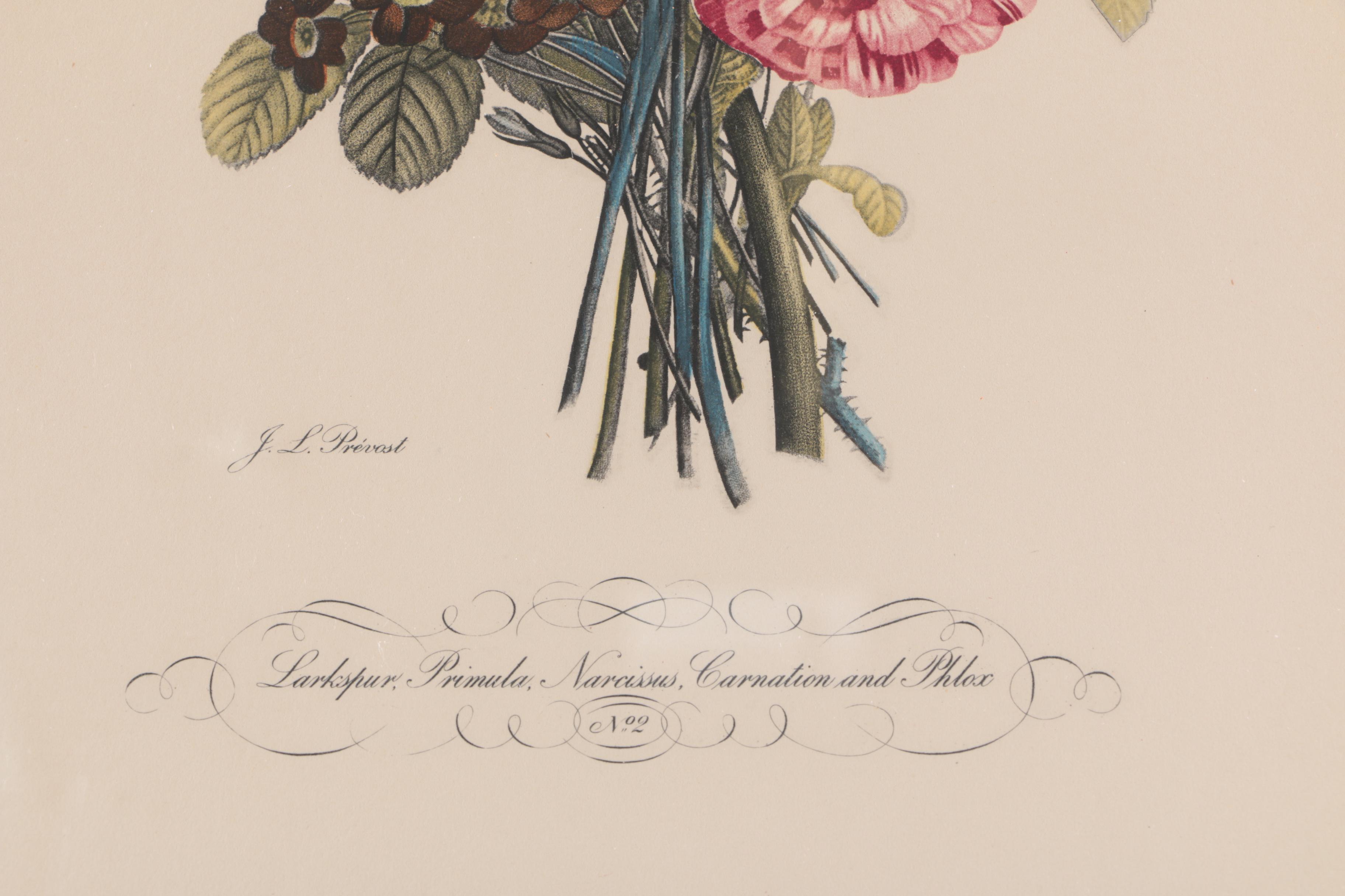 Hand Colored Halftone Prints After Jean Louis Prévost's Botanical Illustrations