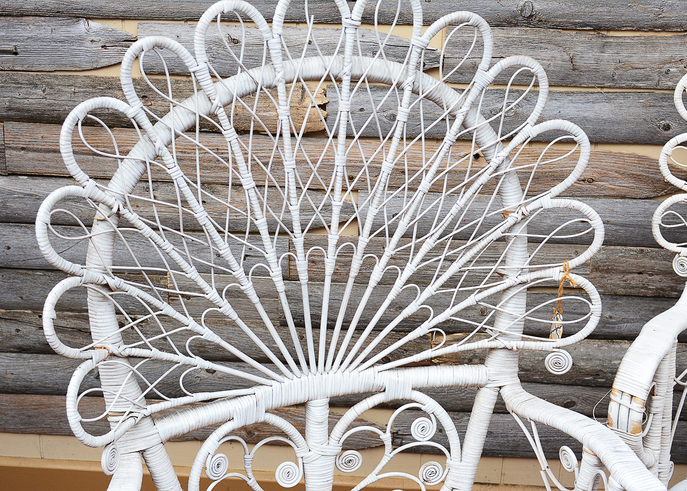 Wicker Chairs