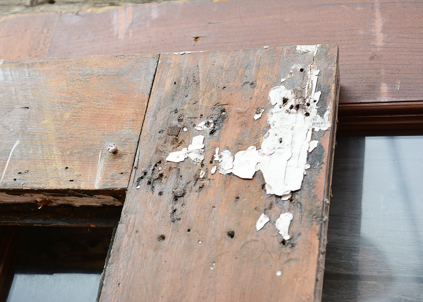 Architectural Wooden Doors